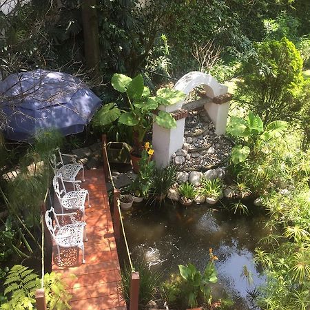 Villas Sol Y Luna Coyoacan メキシコシティ エクステリア 写真