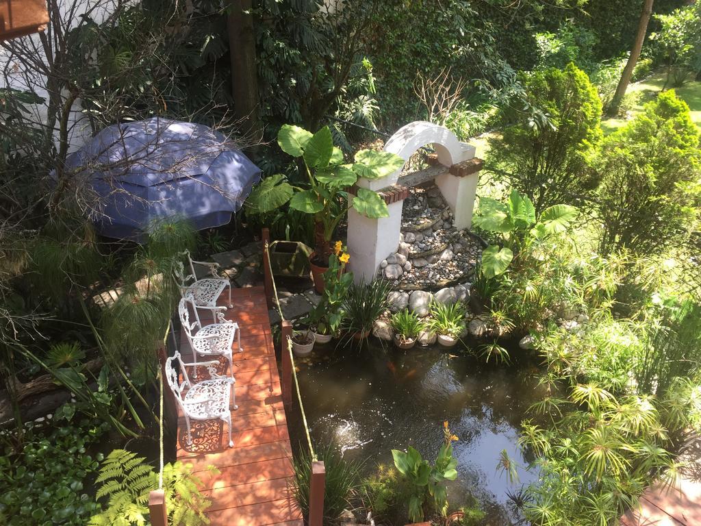 Villas Sol Y Luna Coyoacan メキシコシティ エクステリア 写真